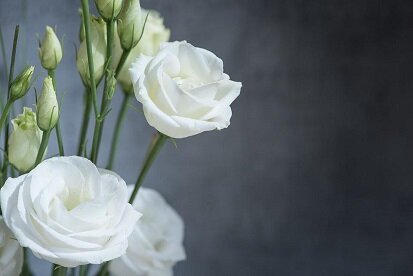 Изображение из открытого источника. Pixabay