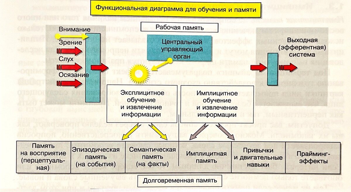 Память наука