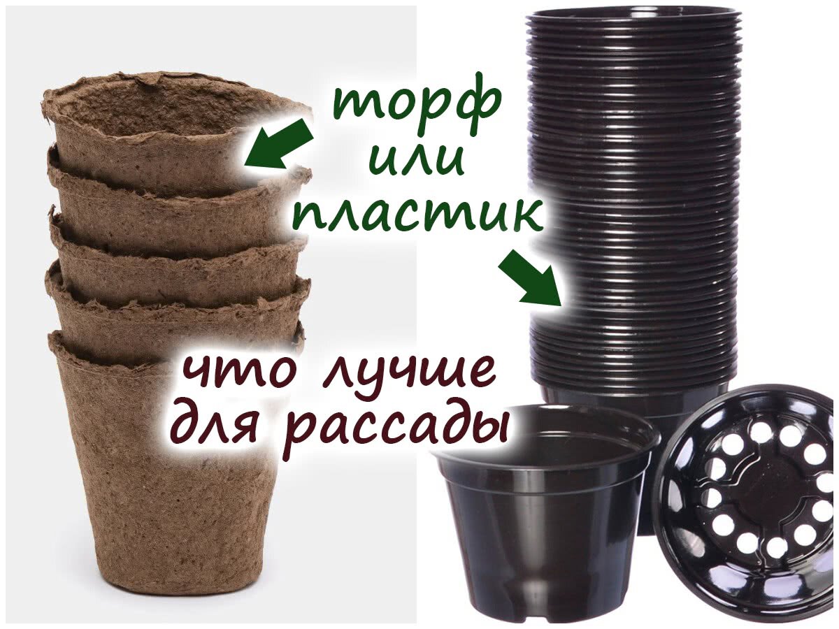 Пятерочка грунт для рассады цена. Какой торф лучше для рассады. Торфяной грунт для рассады. Торф для рассады. Торфяная земля для рассады.
