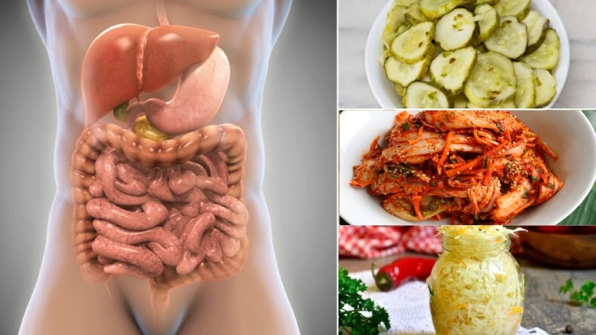 Проблемы с желудком и кишечником. Пища для здорового кишечника.