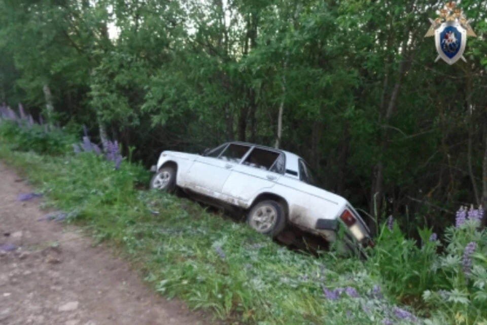     Трагический случай произошел прошлым летом.  СУ СКР по Нижегородской области