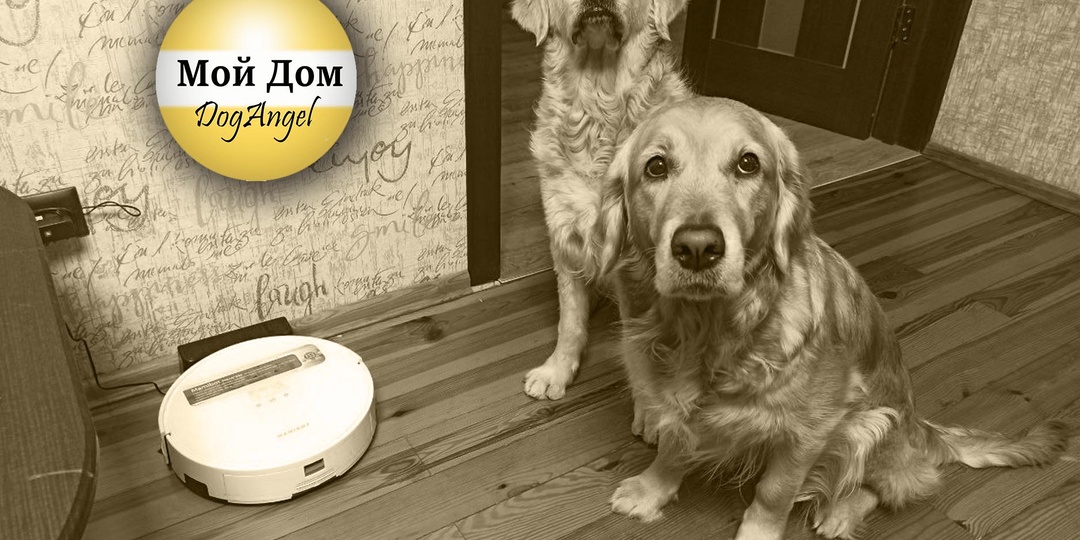 Мой опыт использования Робота-Пылесоса в квартире с тремя шерстяными гражданами