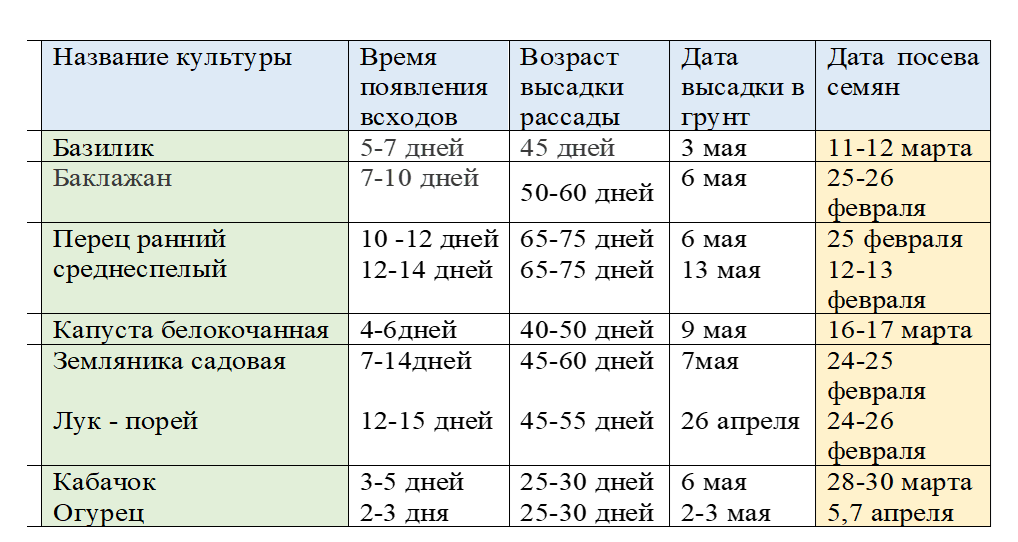 Освобождение от занятий по физическому воспитанию. Какие примерные сроки. Допускается на занятие. Прохождение контрольных точек проекта. Относительно определенные сроки.