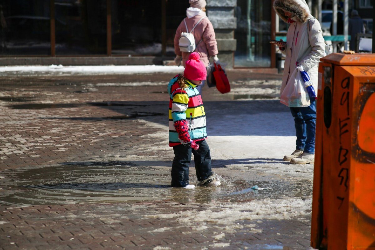    В начале марта в Новосибирск придет потепление с дождем и сильным ветром