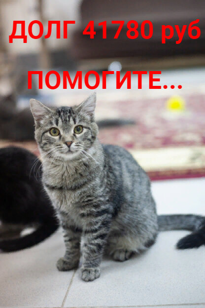 Сатурн тоже очень переживает