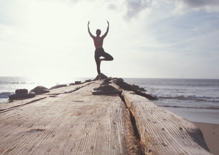 Взято из общего доступа.