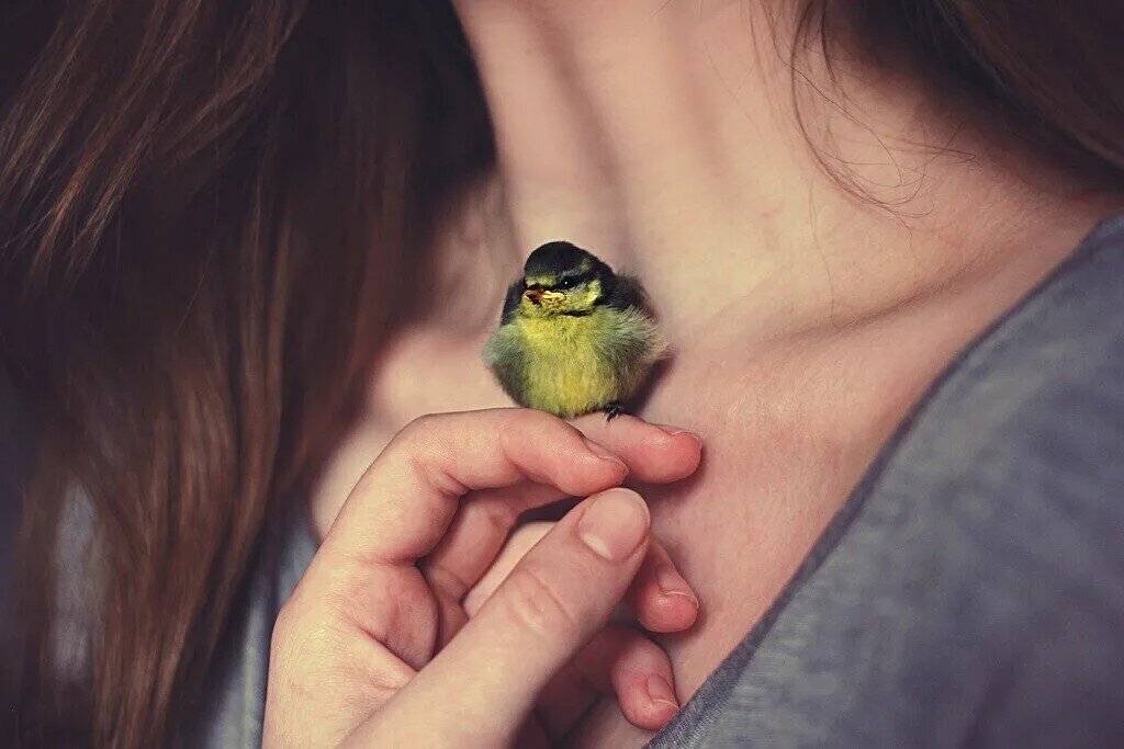 Отсюда убегает в пятки в случае чего.