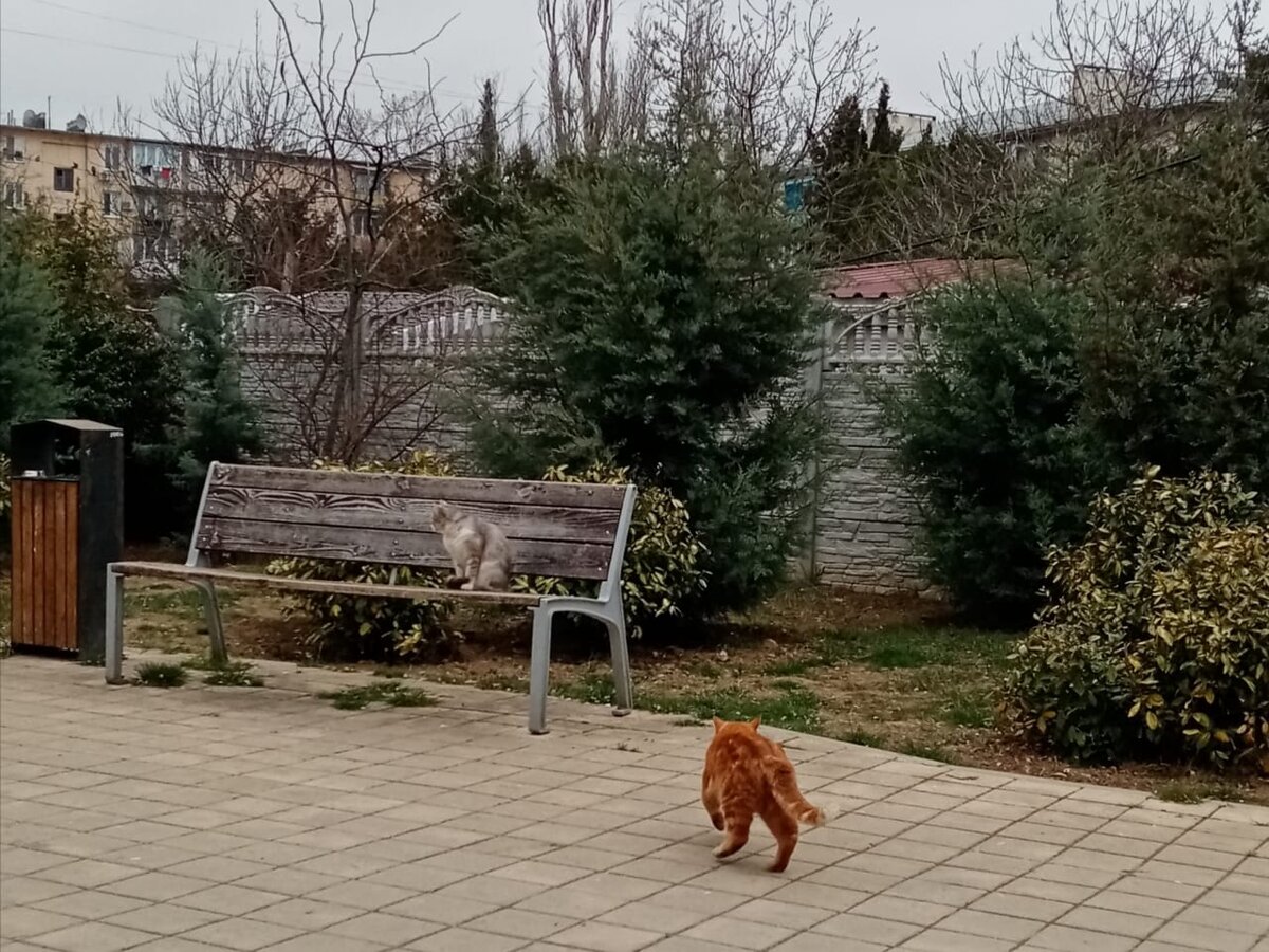 Севастополь
