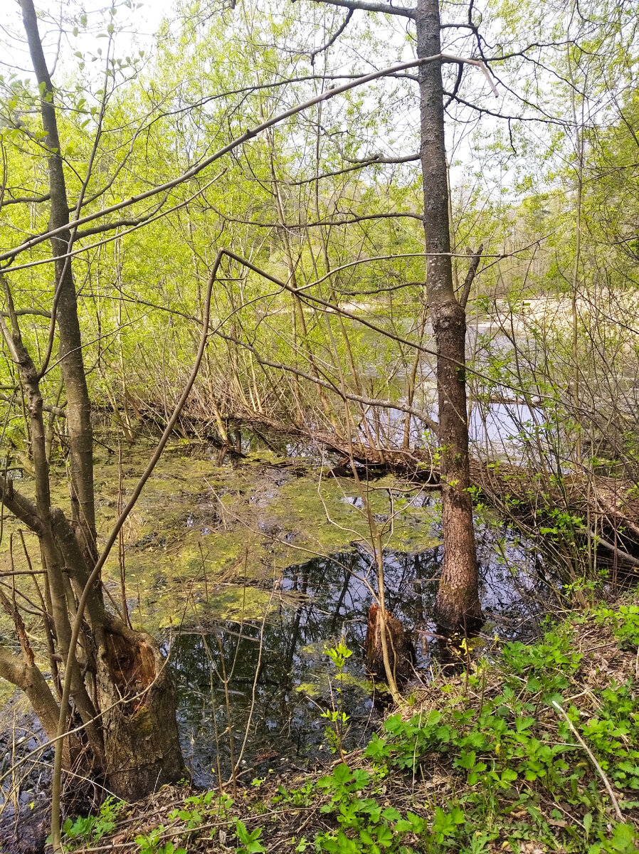 Фото из личного архива. 