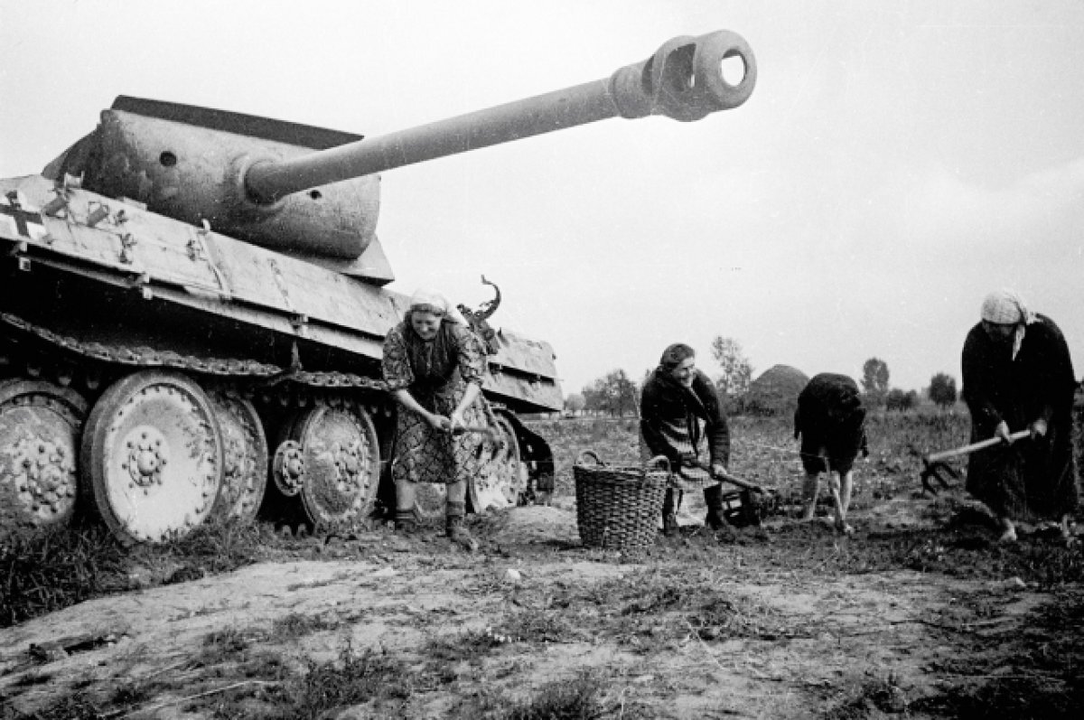    Польские крестьяне собирают урожай на освобожденной от немцев земле. 1944 г.