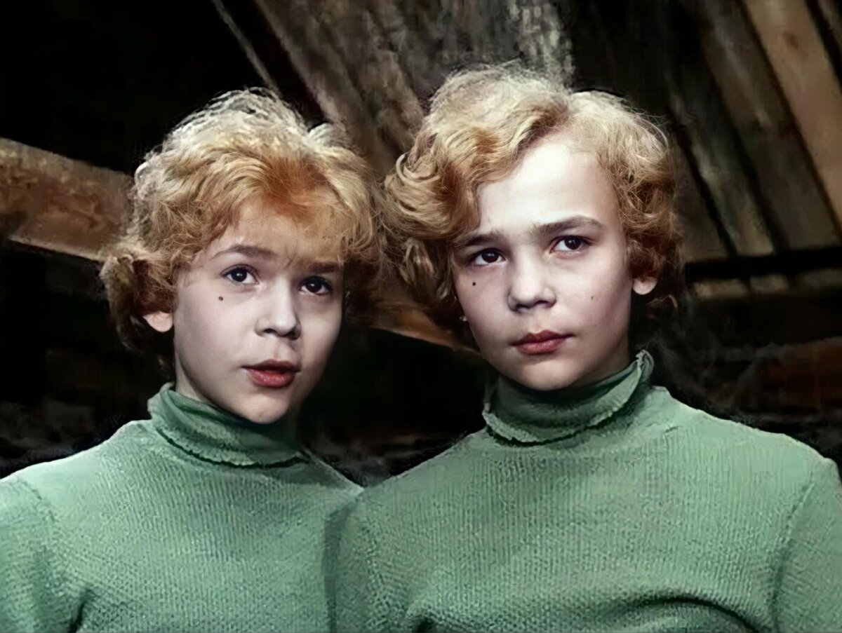 Сыроежкин и Электроник (из открытых источников)