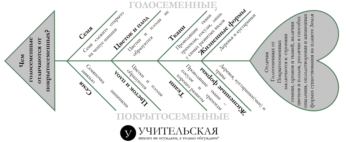 "Фишбоун": при чём здесь дети и рыбий скелет? | Учительская | Дзен