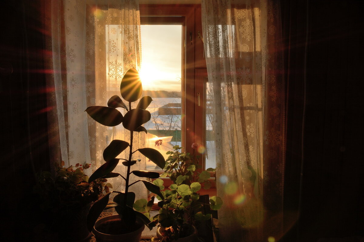 Окна новый свет. Окно с цветами. Солнечные лучи в окне. Луч солнца в окне. Солнце в окне.