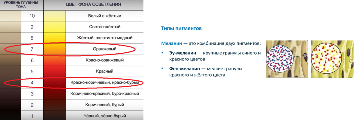 Что такое персульфаты в краске для волос