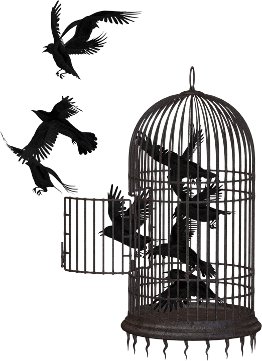 Картинка с сайта http://pngimg.com