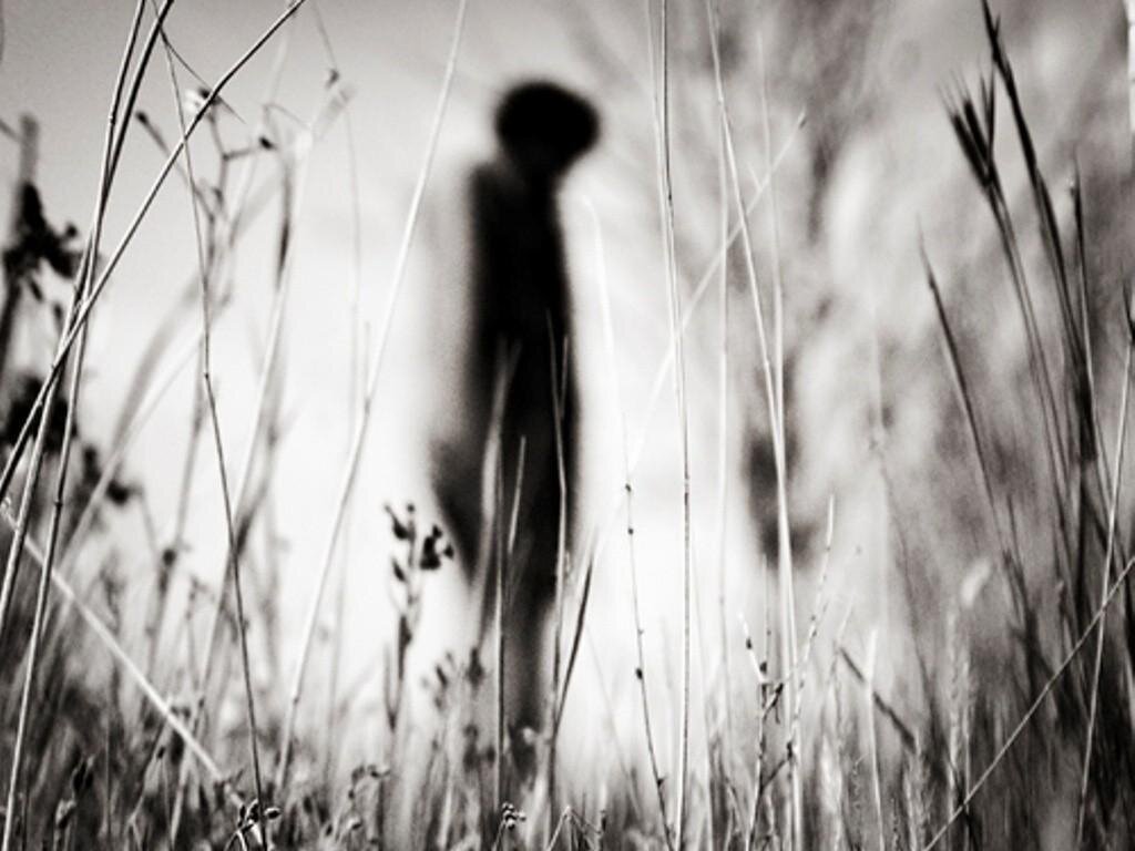 Картинка с просторов Яндекса