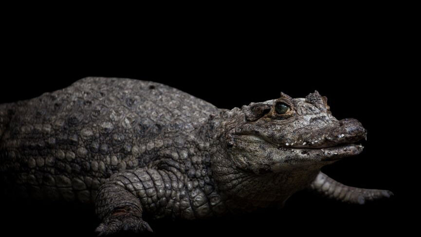 Фото: Juancho Torres