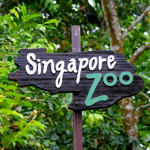 Источник: http://tour.issatistravel.com