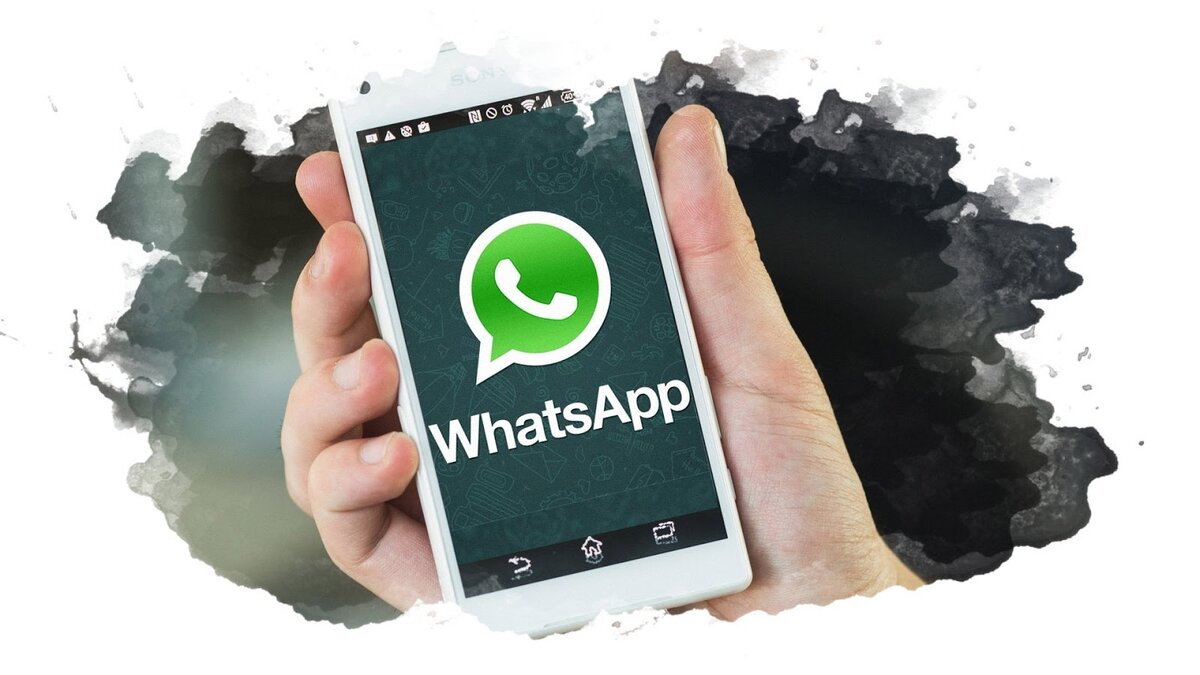 7 секретов WhatsApp: хитрости о которых не знает никто! | oXKo.ru | Дзен