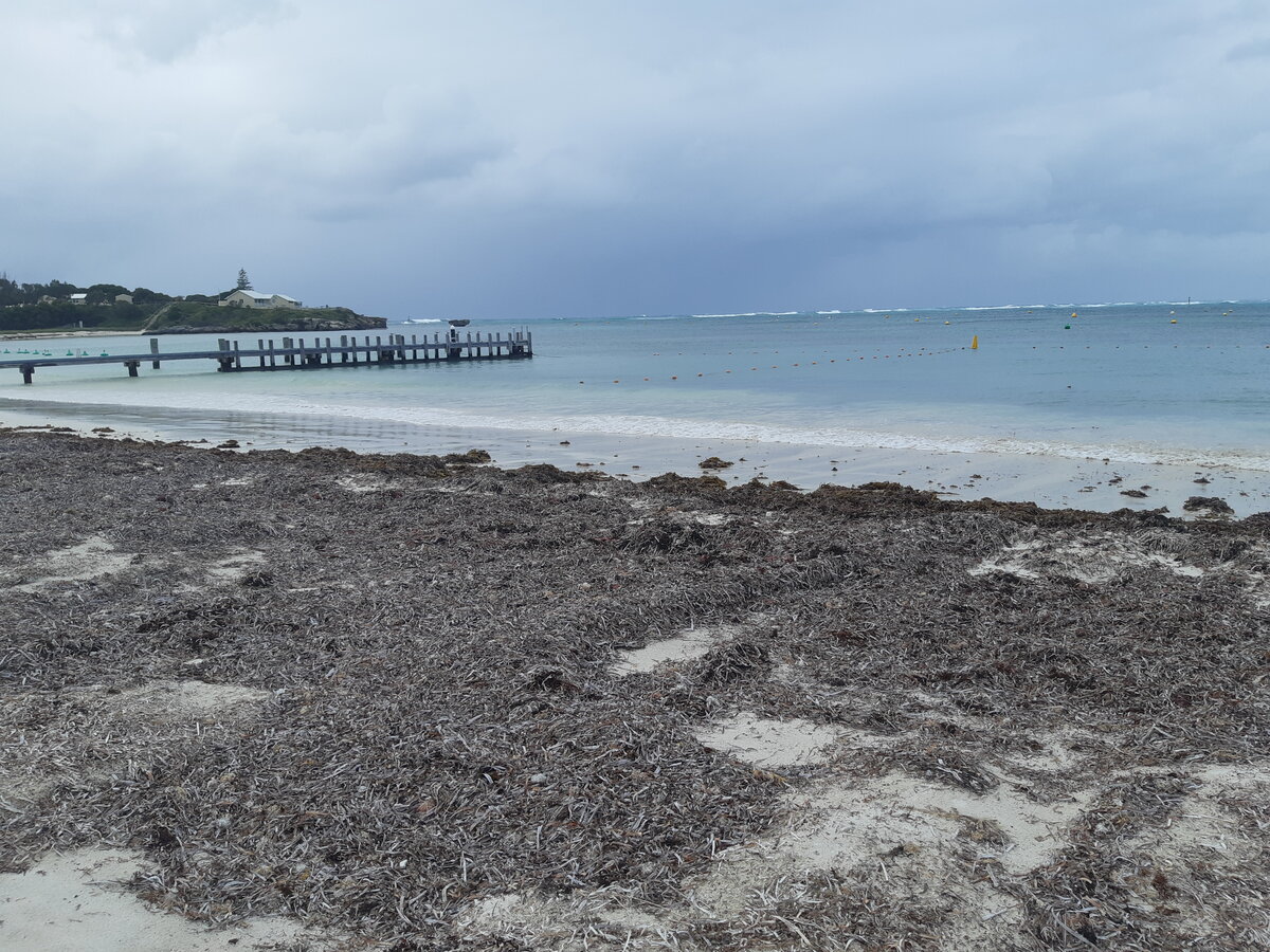 Остров Роттнест, сюда вы приедете на пароме.
