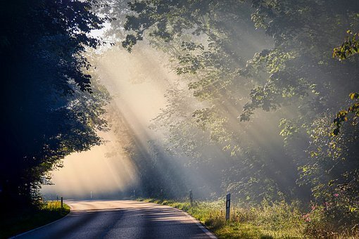  source:https://pixabay.com/ru/photos/%D1%82%D1%83%D0%BC%D0%B0%D0%BD-%D1%81%D0%BE%D0%BB%D0%BD%D0%B5%D1%87%D0%BD%D1%8B%D0%B9-%D0%BB%D1%83%D1%87-%D0%B4%D0%BE%D1%80%D0%BE%D0%B3%D0%B8-%D0%B4%D0%B5%D1%80%D0%B5%D0%B2%D1%8C%D1%8F-4506804/