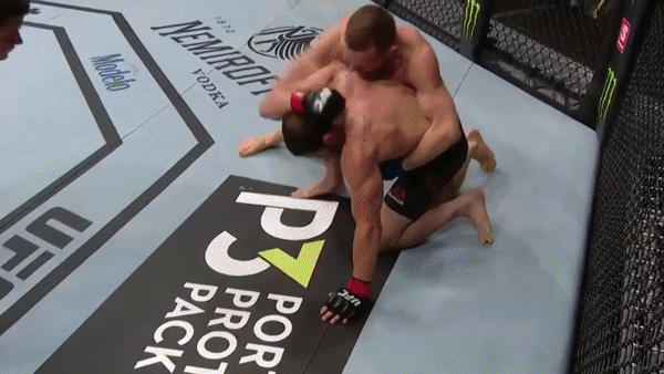 бой петр ян, мма, ufc, бой джимми ривера, нокаут