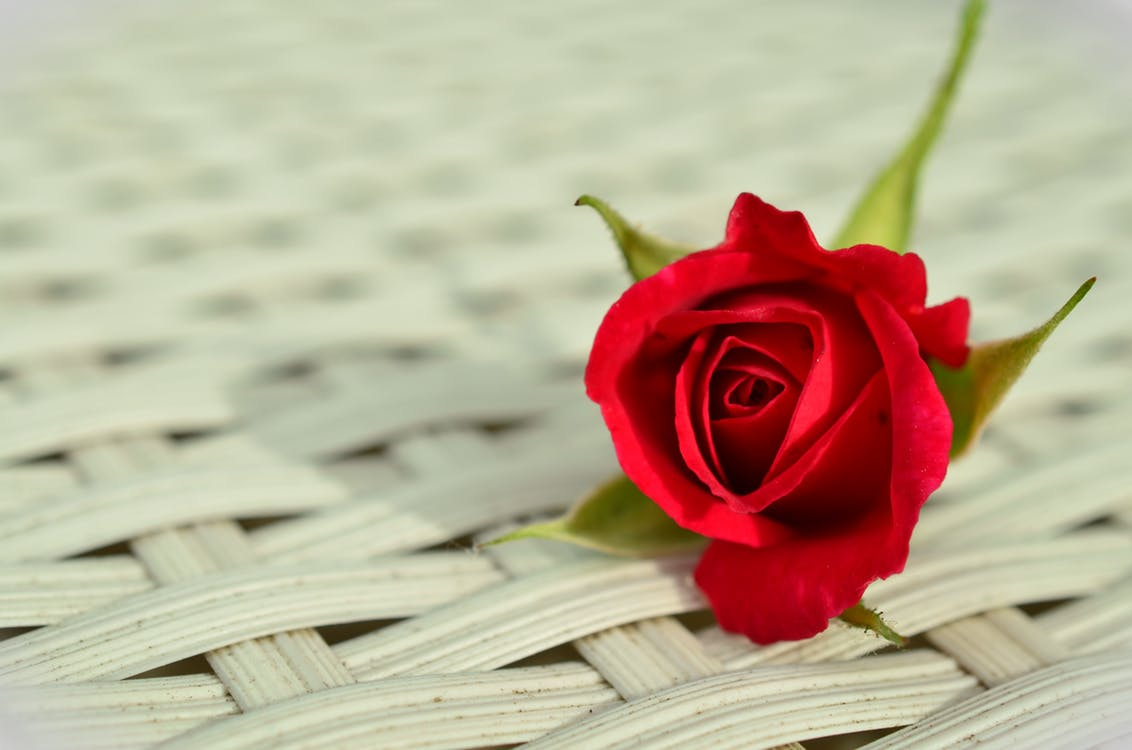 https://www.pexels.com/photo/red-rose-on-white-weaved-surface-35807/ 