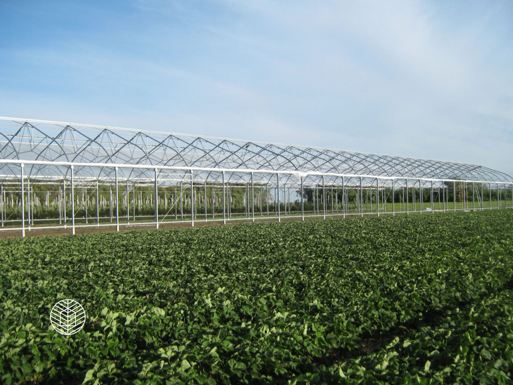 Источник фото https://impocorp.ru/