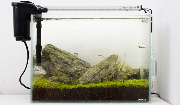 Источник Яндекс.Картинки.