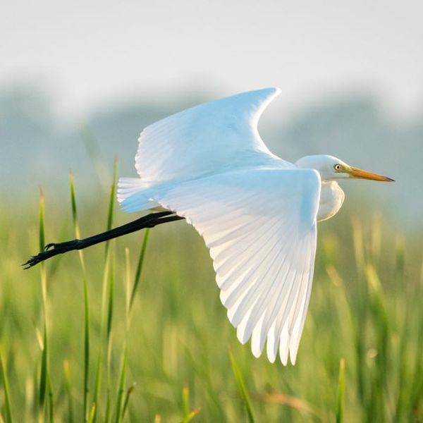 thumbnailer.mixcloud.com/unsafe/600x600/extaudio/6/e/1/0/a061-ba37-4fc8-973b-5fc1753f14ed