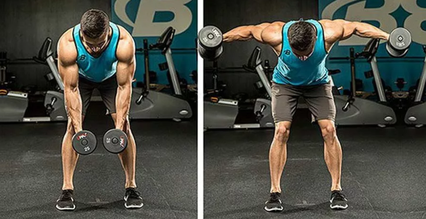 Махи гантелями в наклоне