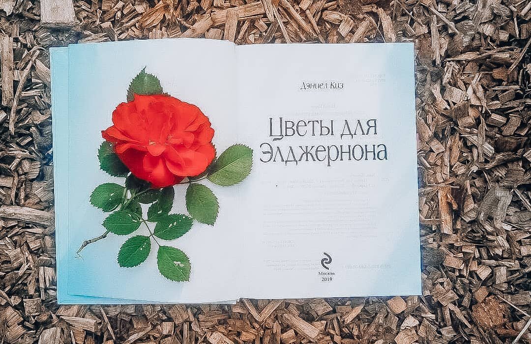 "Цветы для Элджернона" Фото из Инстаграма @knigoejki