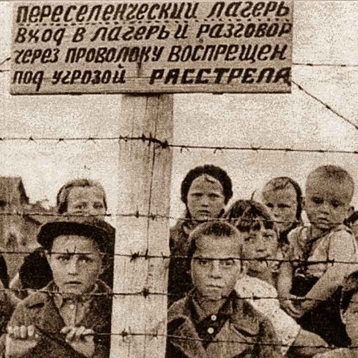 Просто жизнь продолжалась красивый и молодой Николай  рассказал Валентине чо лет ему 16 .Он Николай  круглая сирота  жил он в детском доме при Челябинском тракторном заводе . Имя и фамилия ему придумали в детском доме  .Своё имя он не помнит  в детский дом его привела какая -то женщина . Со своим другом Александром они бежали из д/дома и бродили по просторам страны (надо понимать что это был 1941-1945 год)в войну много детей потеряло своих родителей .Бродили пока не пришли в деревню где и жила мама .В деревни жили немцы  рипресированные  из Поволжя  . с главой семьи Анатолием и сдружился мой папа .Как рассказывала моя мама  с семьёй Анатолия жила его мама  которая категорически не хотела разговаривать на русском . Николай общался на немецком  но бабушка смеялась над его произношением у них были разные наречия .И со всеми говорящими на немецком он общался на немецком (вопрос как человек не помнящий своего имени  помнит язык на котором он видимо когда-то говорил