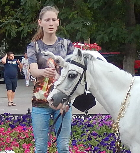 Глюк? Нет, рог!