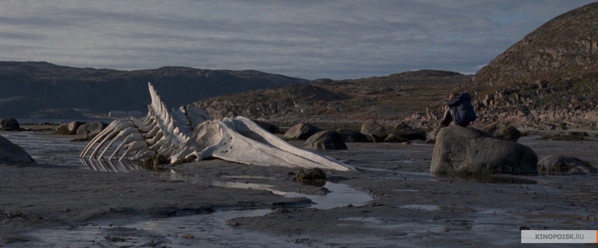 Бюджет «Левиафана» Звягинцева был более 200 млн. Окупился за счет мирового проката.