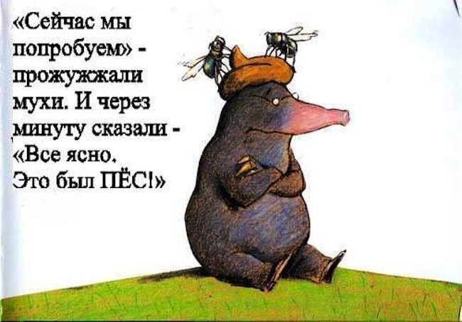 Иллюстрация художника Рольфа Ерлбурха к сказке "Про крота, который хотел узнать, кто ему накакал на голову"