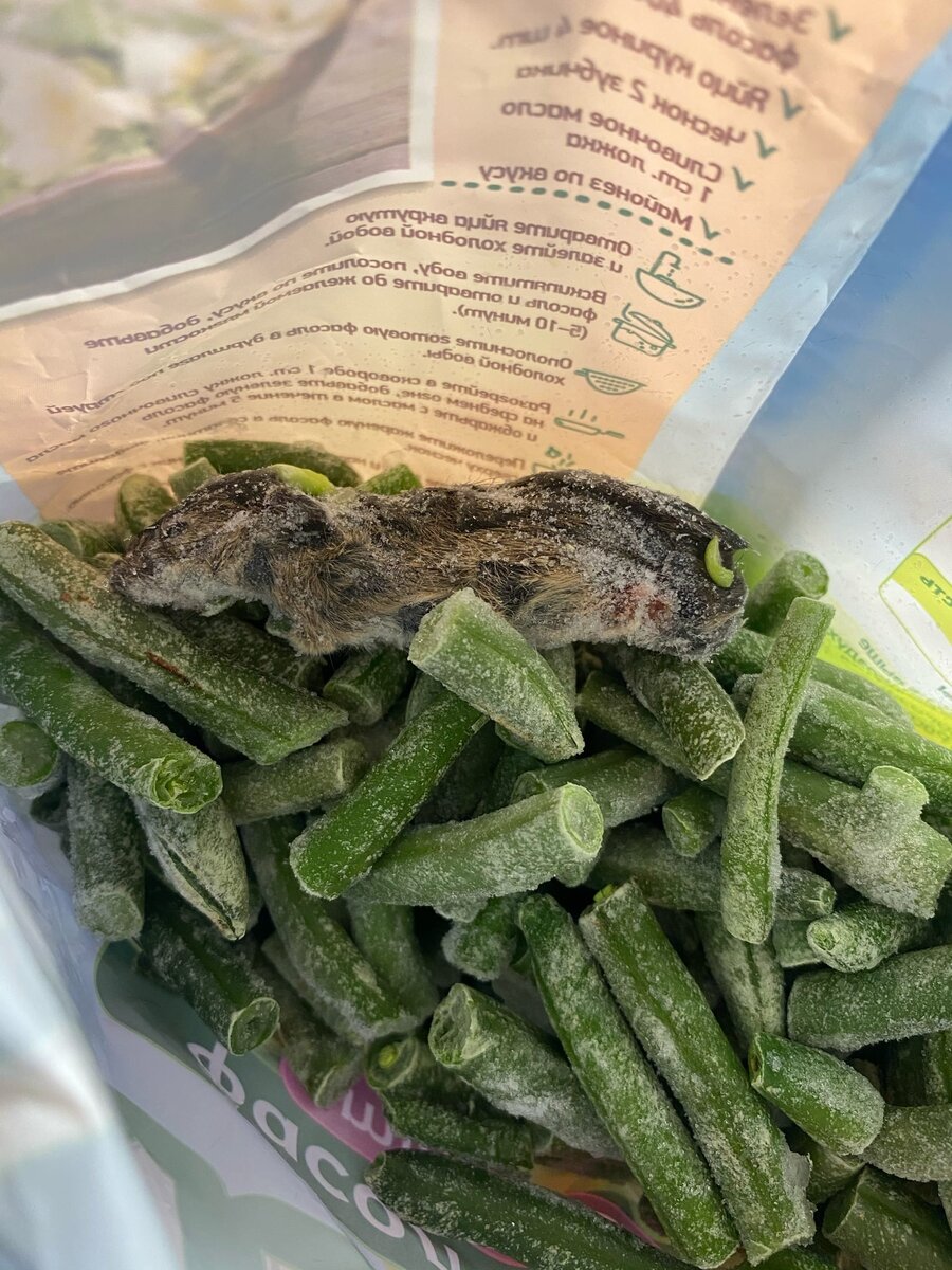 Сюрприз в пакете фасоли.