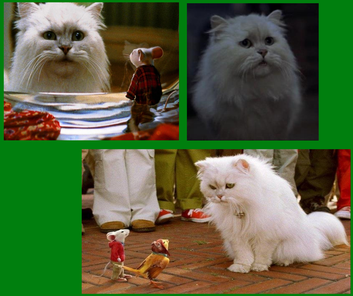 Кот Снежок из фильма Стюарт Литтл