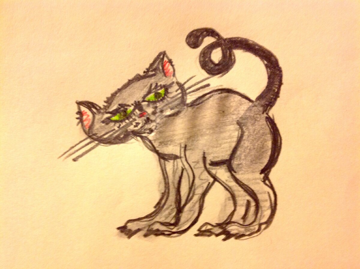 Короче, не кошка, а модель! 