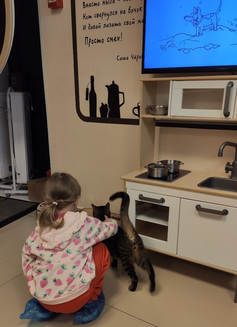 Дочка с котиком