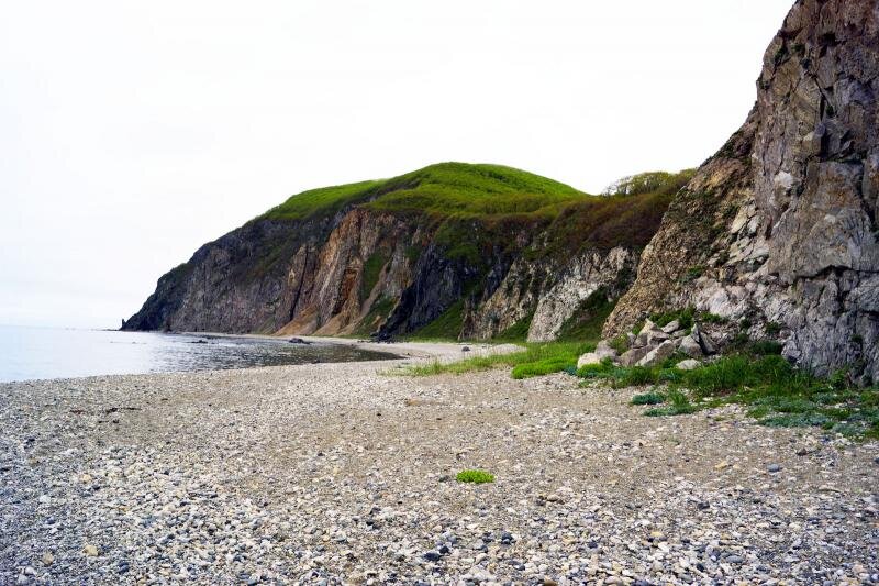 Самая обычная бухта на Японском море.  Источник Картинки Yandex.ru