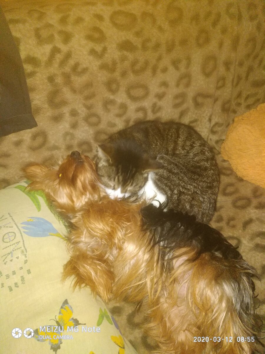 Вот он и дождался,а Костик постарался....