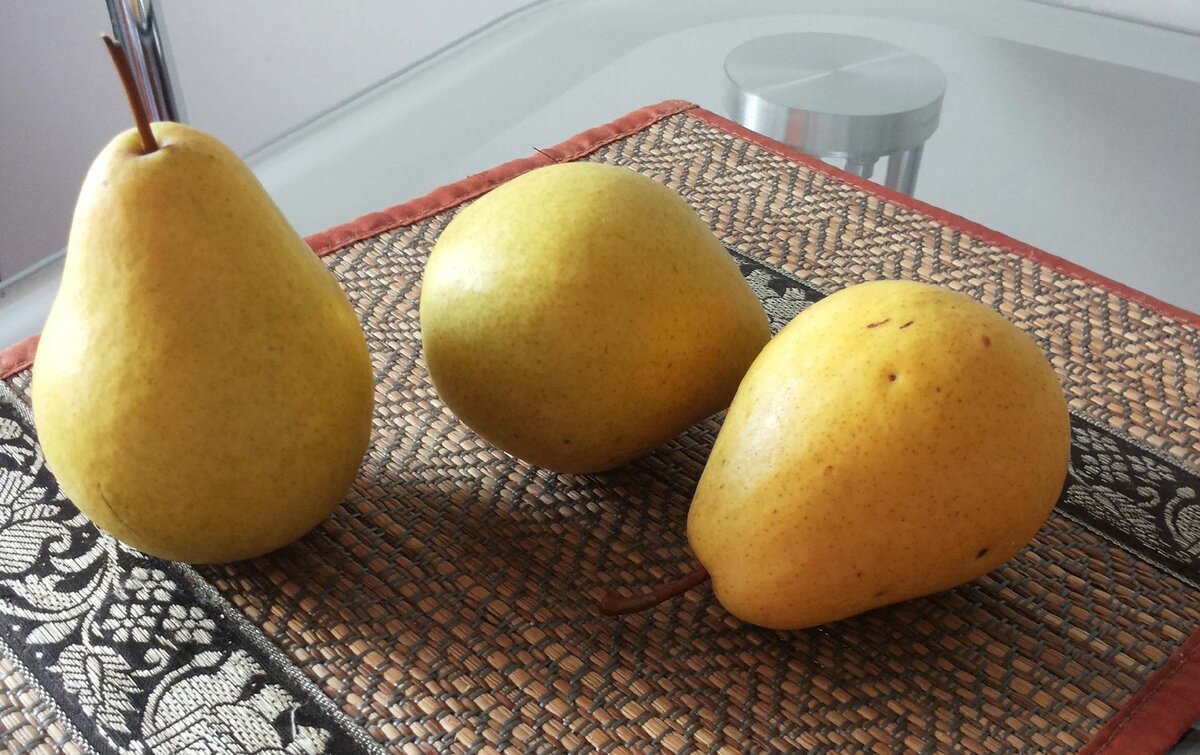 Вот такие красивые и вкусные плоды принесла груша, которую мы хотели вырубить