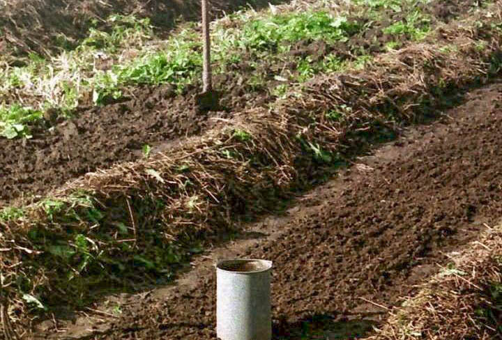 Готовим почву для посева.