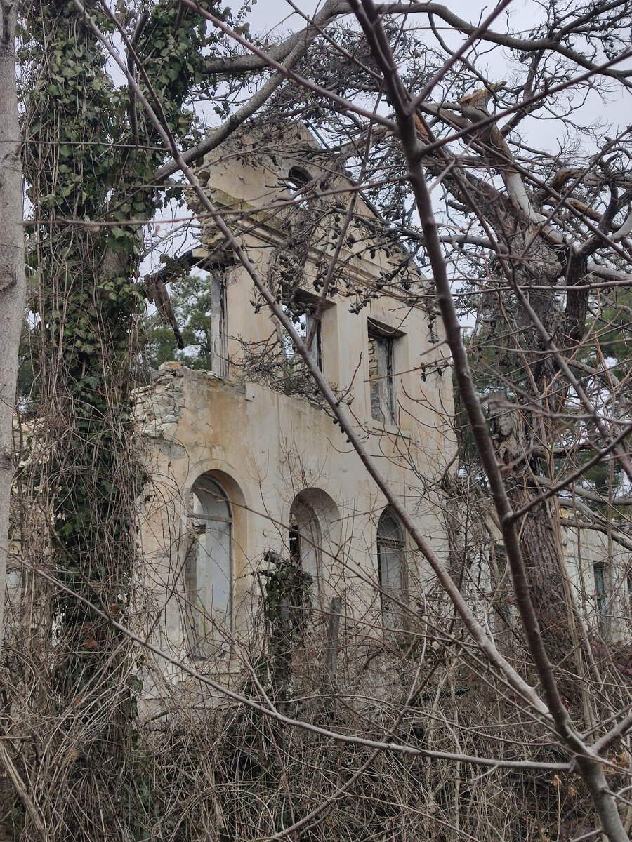 Два года назад, я фотографировалась на фоне этого здания, без опаски стоя к нему  практически в плотную, а сейчас подход к нему очень зарос и оно сильно обрушилось(