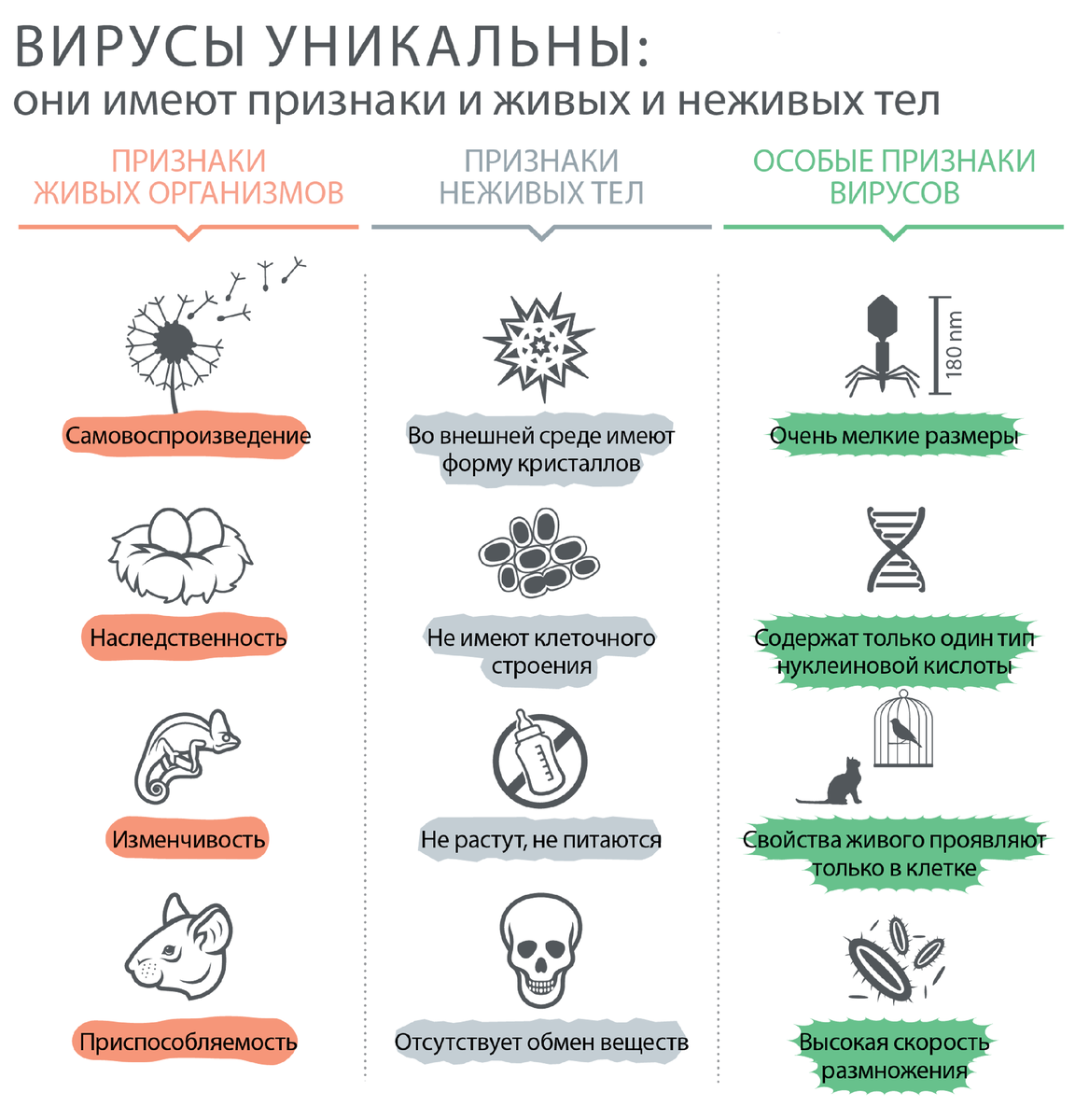 Объясните почему вирус может проявить свойства живого. Признаки живого и неживого у вирусов. Признаки живого и неживого у вирусов таблица. Свойства живого у вирусов. Признаки свойства вирусов.