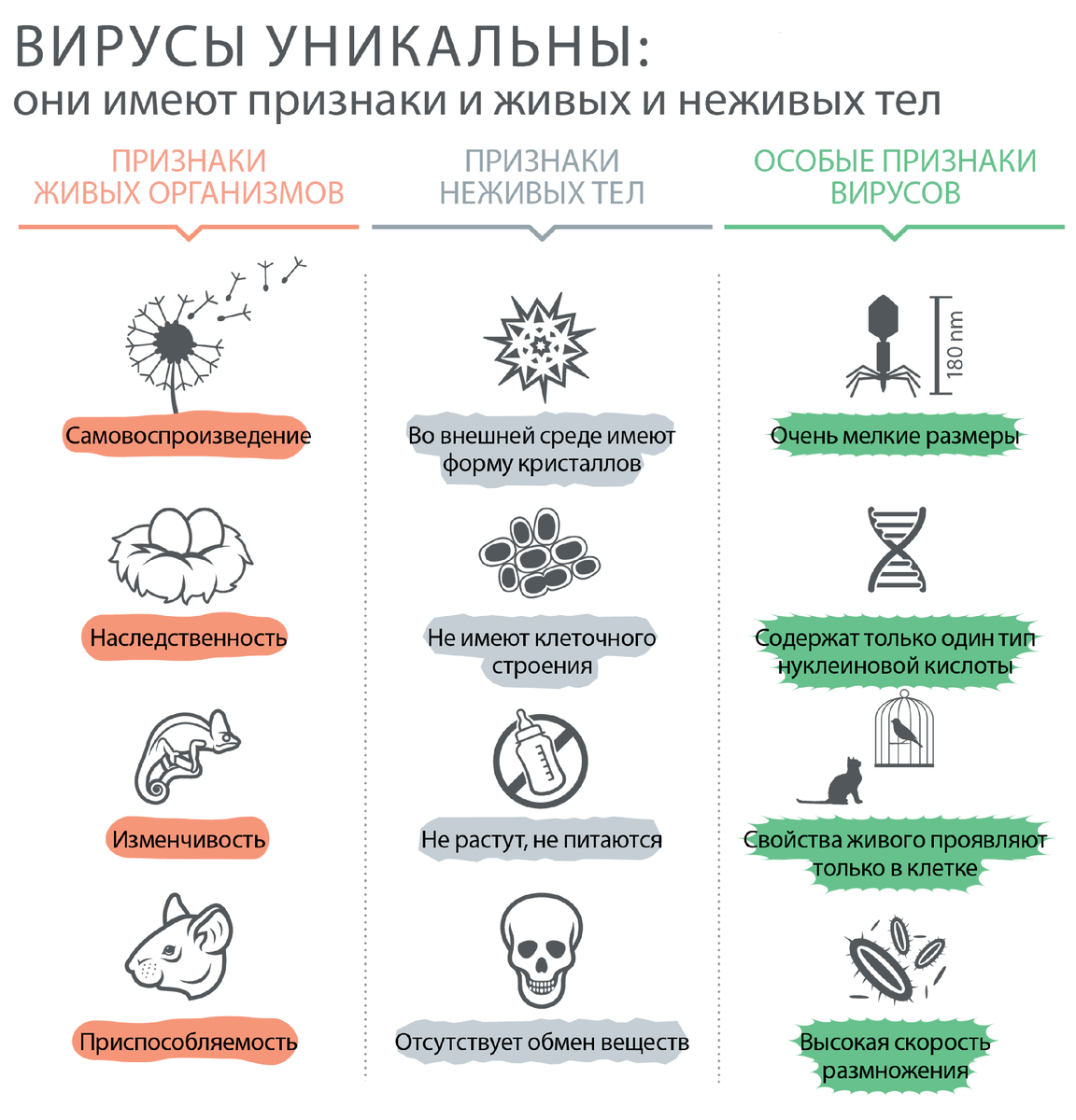 Каким основным свойством не обладают вирусы отсутствие. Признаки живого и неживого у вирусов. Признаки живого и неживого у вирусов таблица. Свойства живого у вирусов. Признаки свойства вирусов.