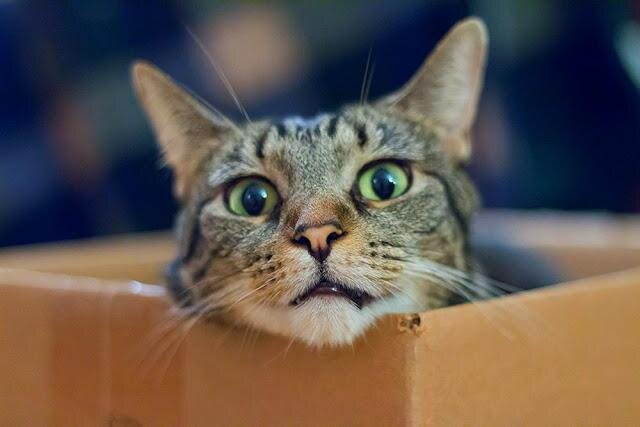 (фотография из открытых источников)