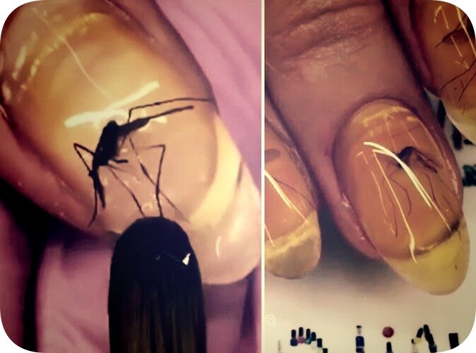 фото в свободном доступе в сети Интернет