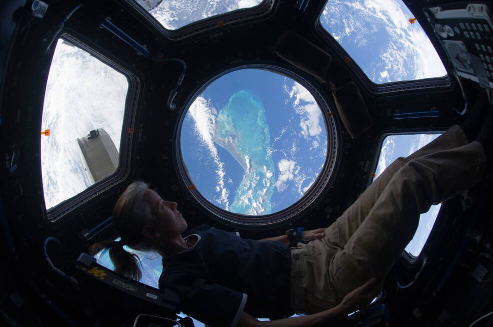 Шеннон Уокер на борту МКС 25 ноября 2010 года. Источник: NASA